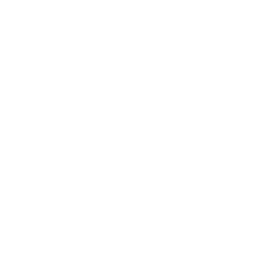 alionlogo-beyaz-1